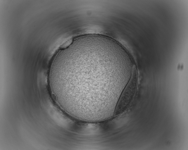 X0000111450060200907201059