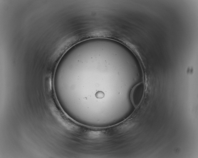 X0000111450061200907201059