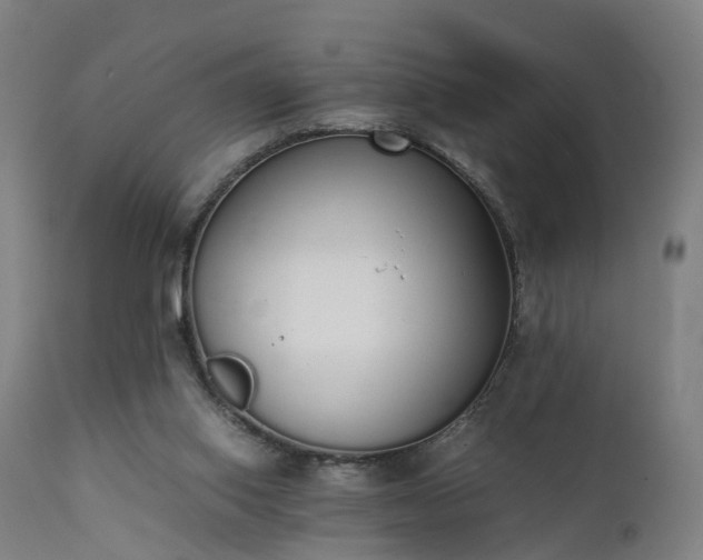 X0000111450062200907201059