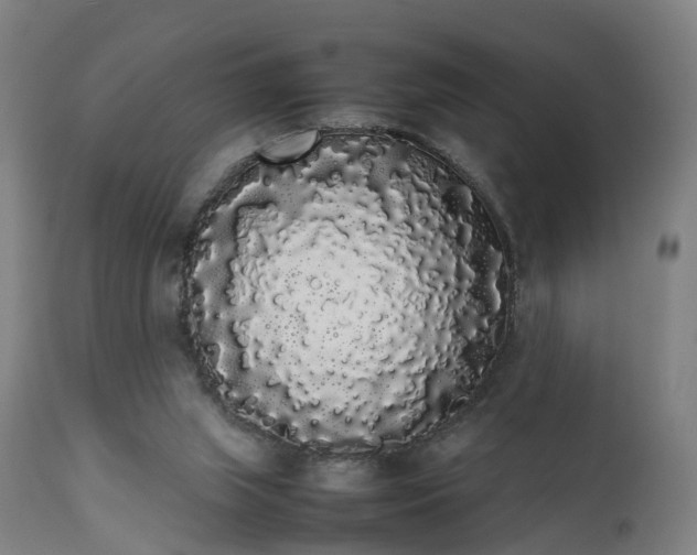 X0000111450063200907201059