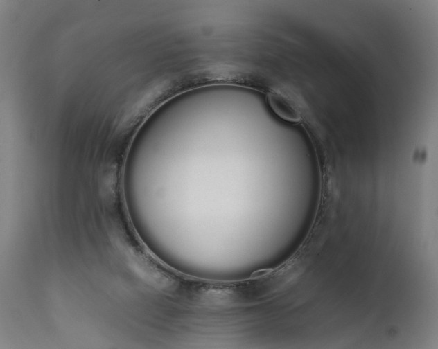 X0000111450066200907201059