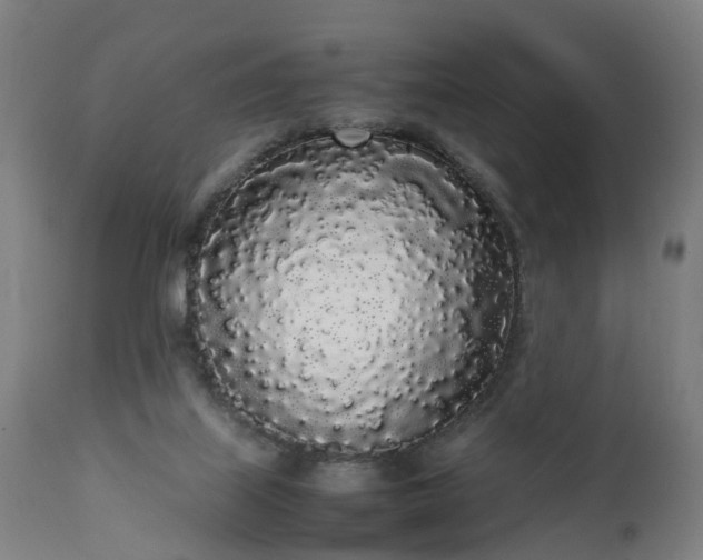 X0000111450067200907201059