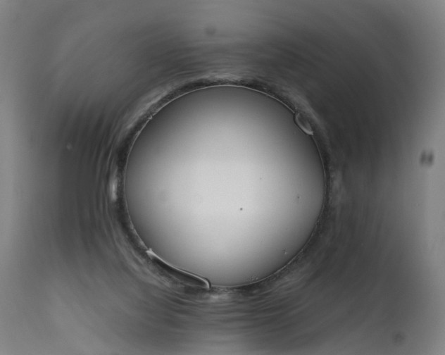 X0000111450068200907201059