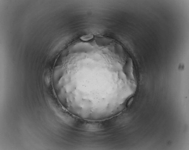 X0000111450069200907201059