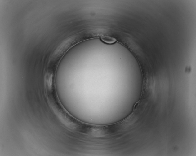 X0000111450070200907201059