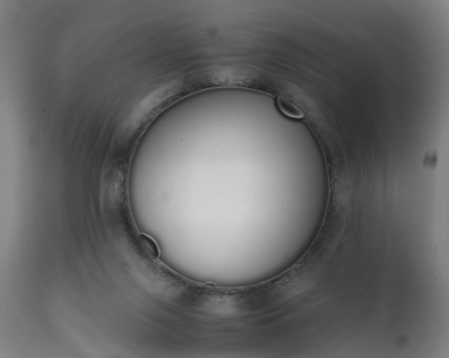 X0000111450071200907201059