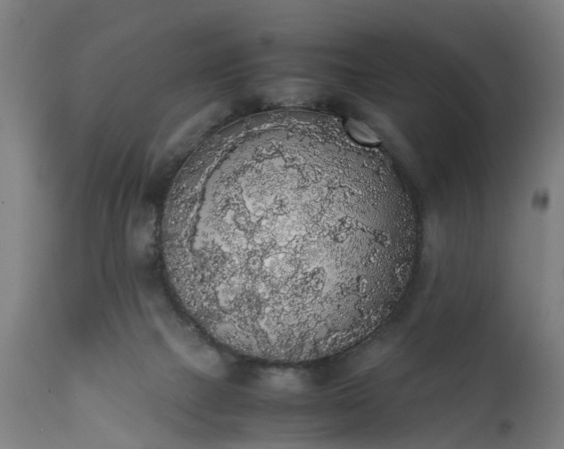 X0000111450073200907201059