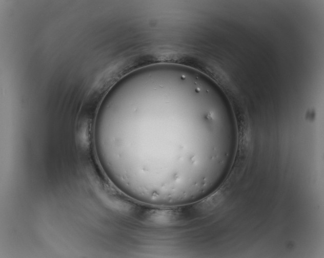 X0000111450074200907201059