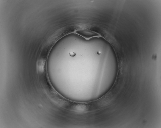 X0000111450075200907201059