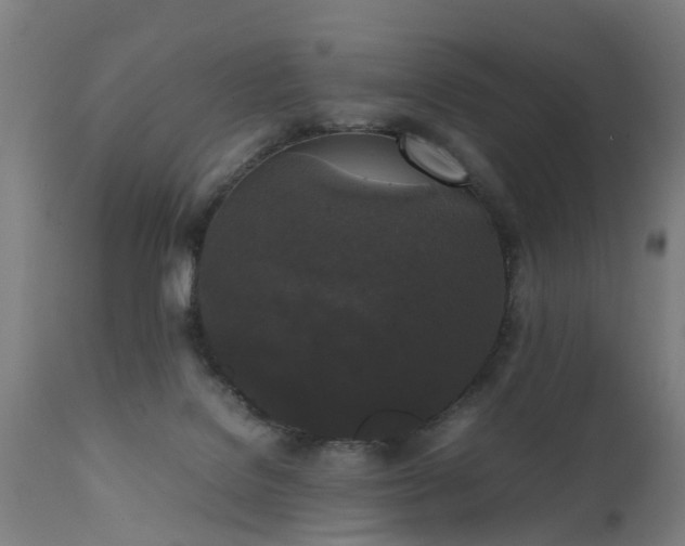 X0000111450076200907201100