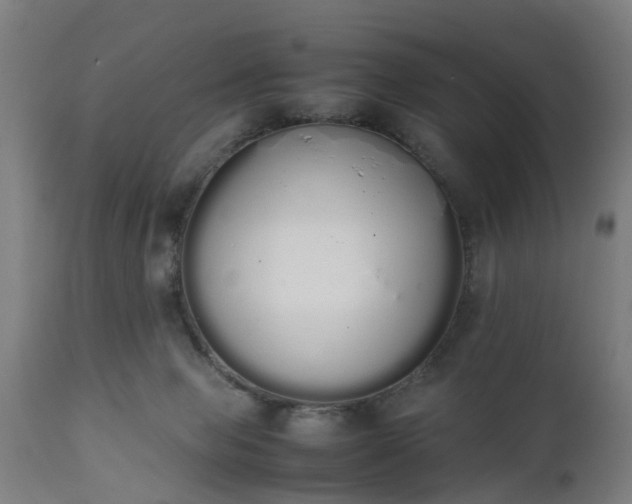 X0000111450077200907201100