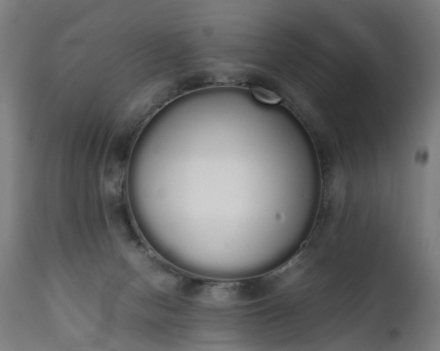X0000111450078200907201100