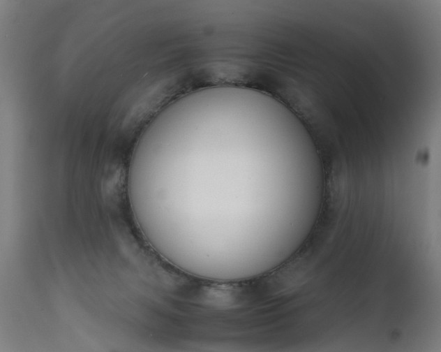 X0000111450079200907201100
