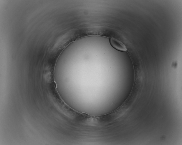 X0000111450080200907201100