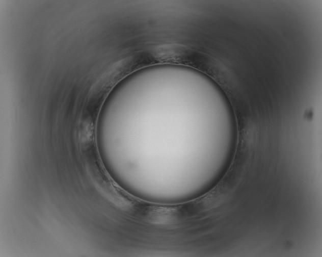 X0000111450081200907201100