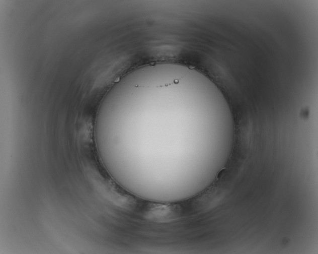 X0000111450083200907201100