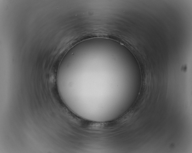 X0000111450084200907201100