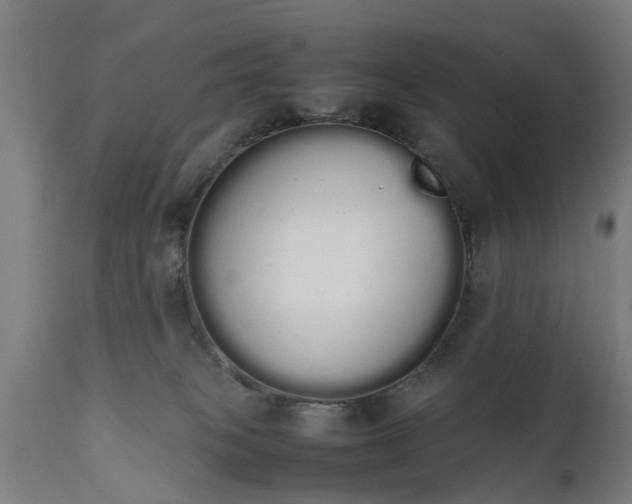 X0000111450085200907201100