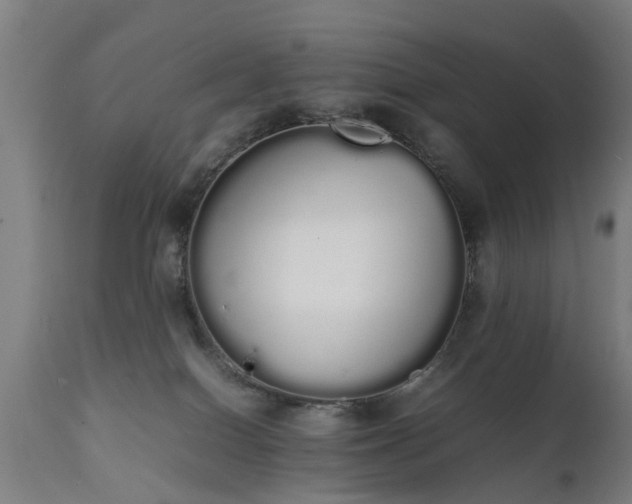 X0000111450086200907201100