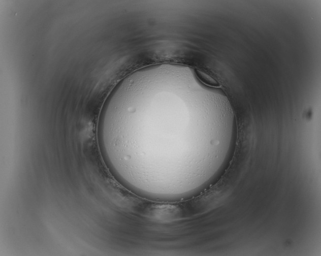 X0000111450087200907201100