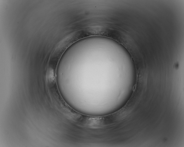 X0000111450089200907201100