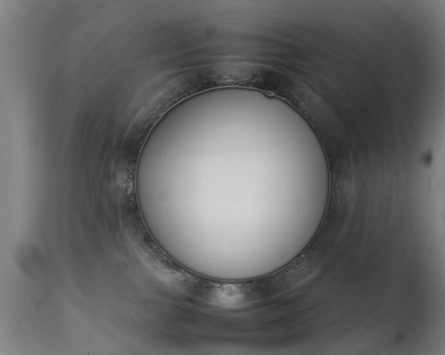 X0000111450091200907201100