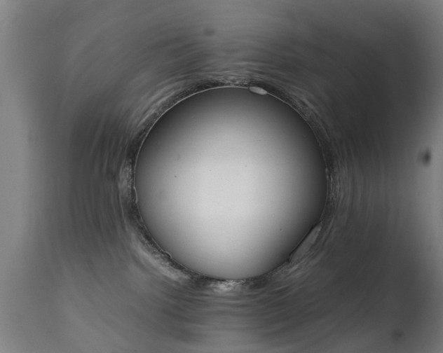 X0000111450092200907201100