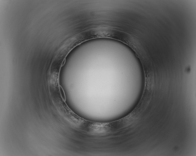 X0000111450093200907201100