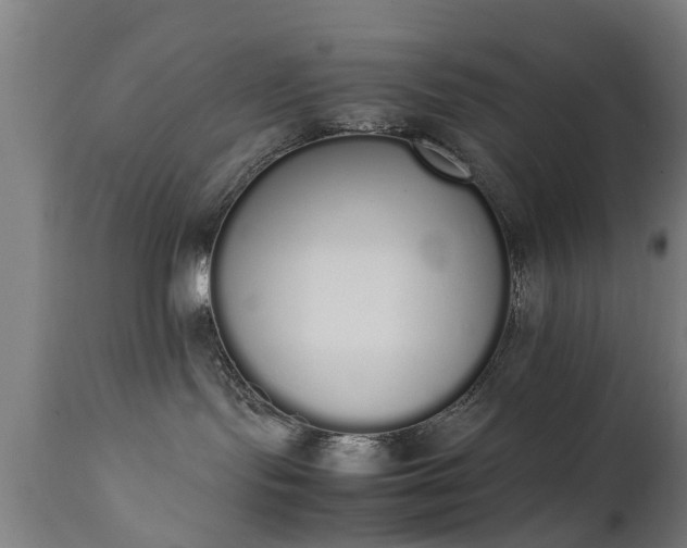 X0000111450095200907201100