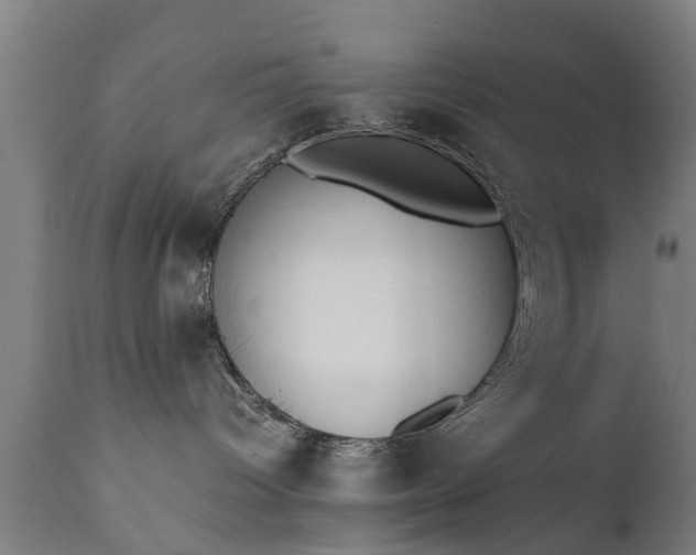 X0000111450096200907201100