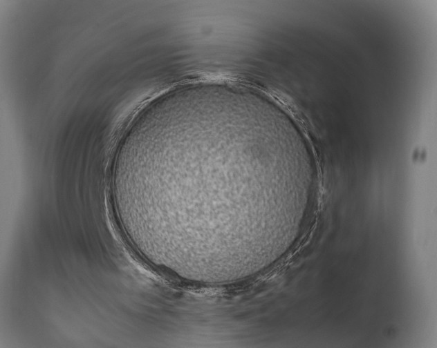 X0000111450097200907201059