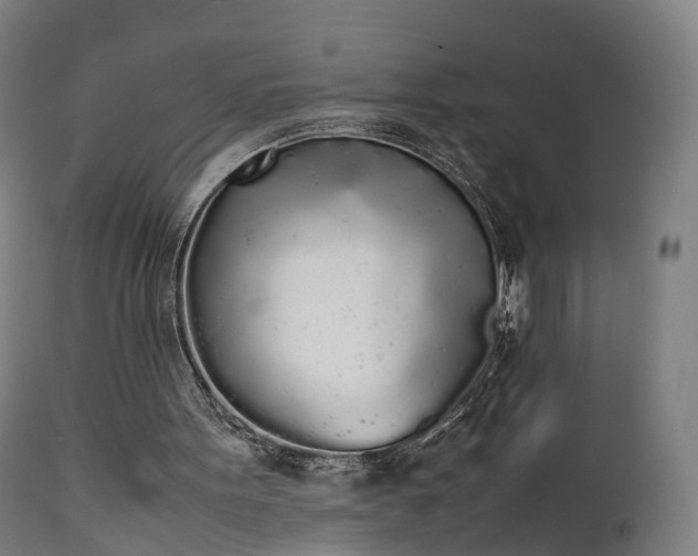 X0000111450099200907201059