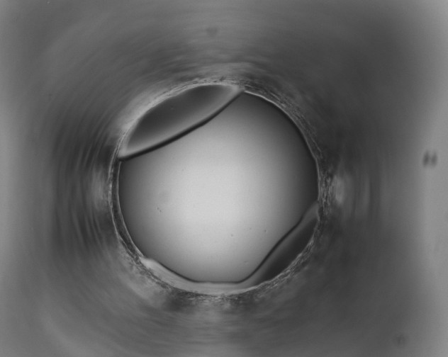 X0000111450100200907201059
