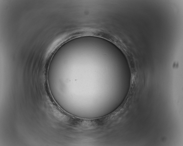 X0000111450101200907201059