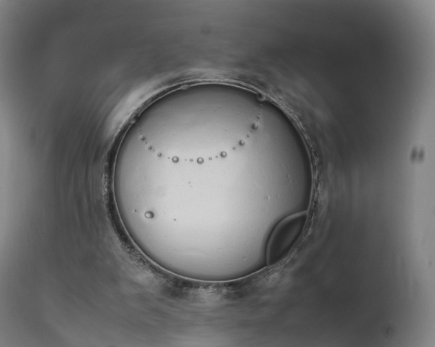 X0000111450103200907201059