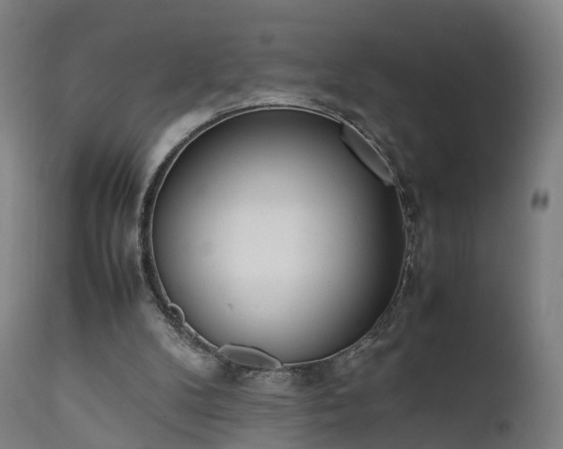 X0000111450104200907201059