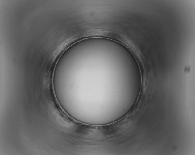 X0000111450107200907201059