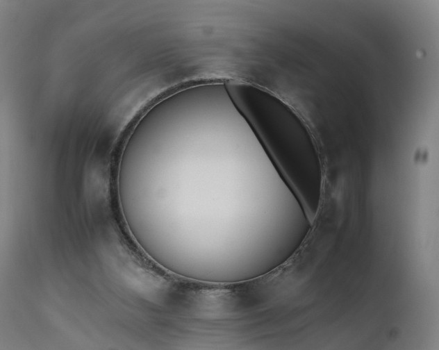 X0000111450108200907201059