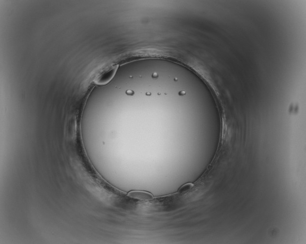 X0000111450109200907201059