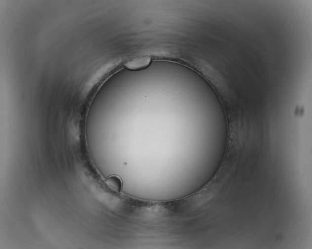 X0000111450112200907201059