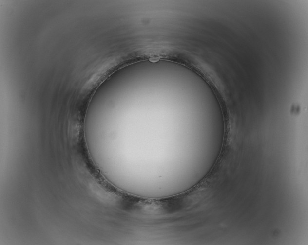 X0000111450113200907201059