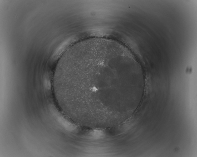 X0000111450114200907201059