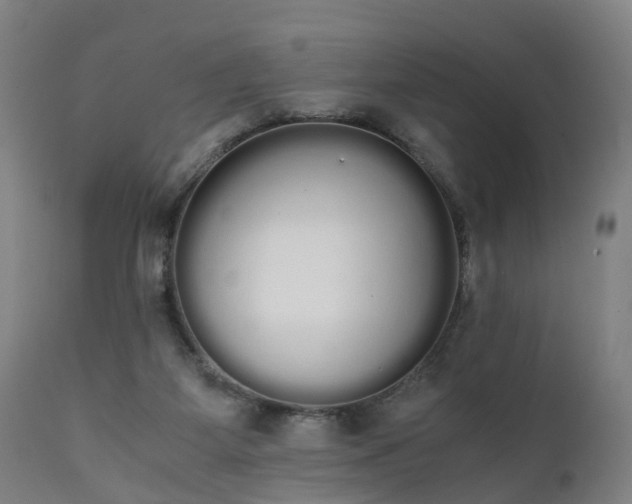 X0000111450115200907201059