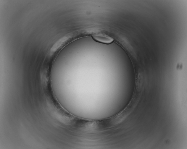 X0000111450116200907201059