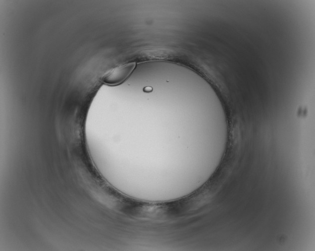 X0000111450117200907201059