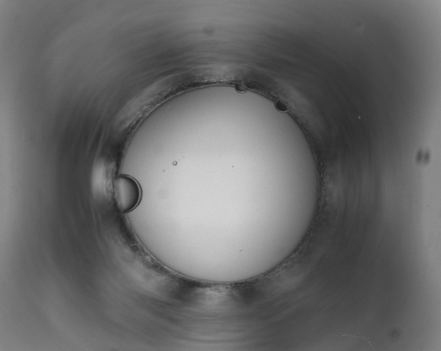 X0000111450118200907201059