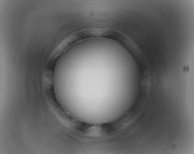 X0000111450119200907201059