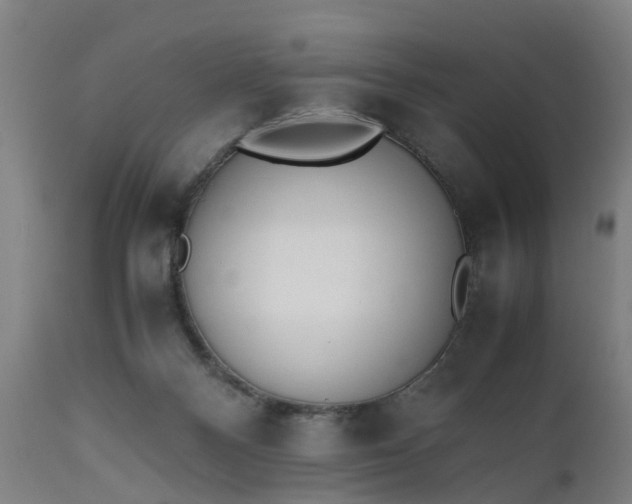 X0000111450120200907201059