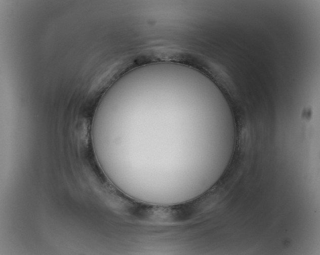 X0000111450121200907201059