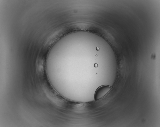 X0000111450122200907201059